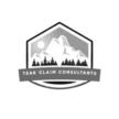teakautoclaimslasvegas.com